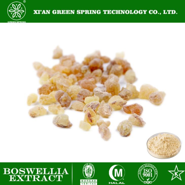 Ekstrak Boswellia serrata