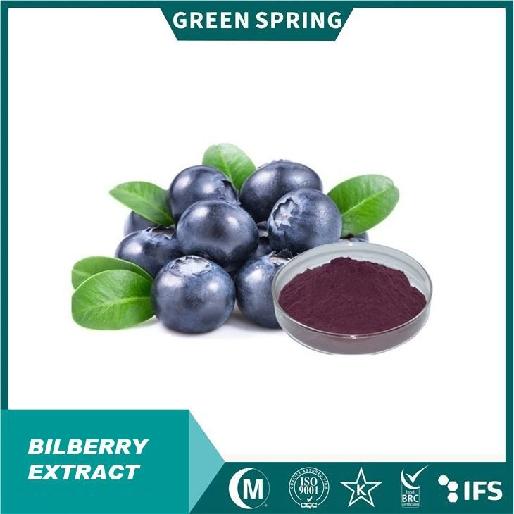 Ekstrak Bilberry